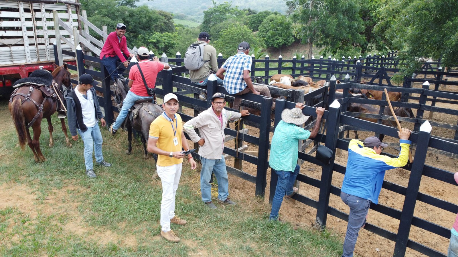 Entrega en Cocuelo mayo 1