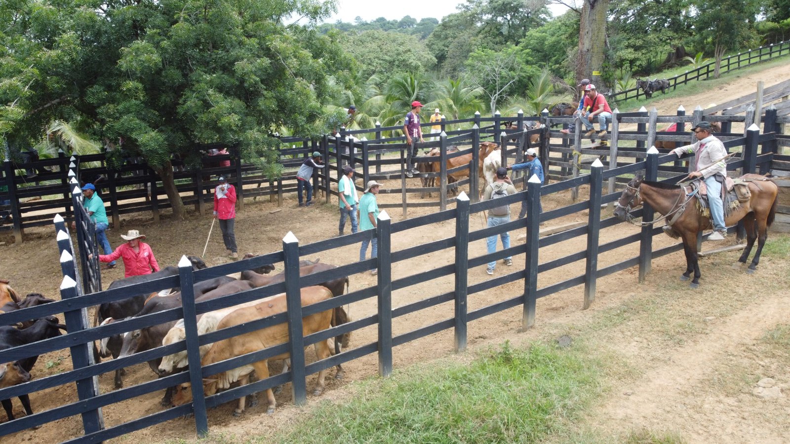 Entrega en Cocuelo mayo 2