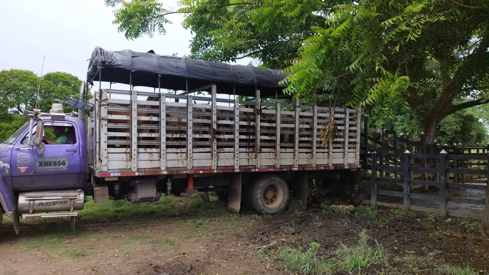Entrega en Planeta Rica 19