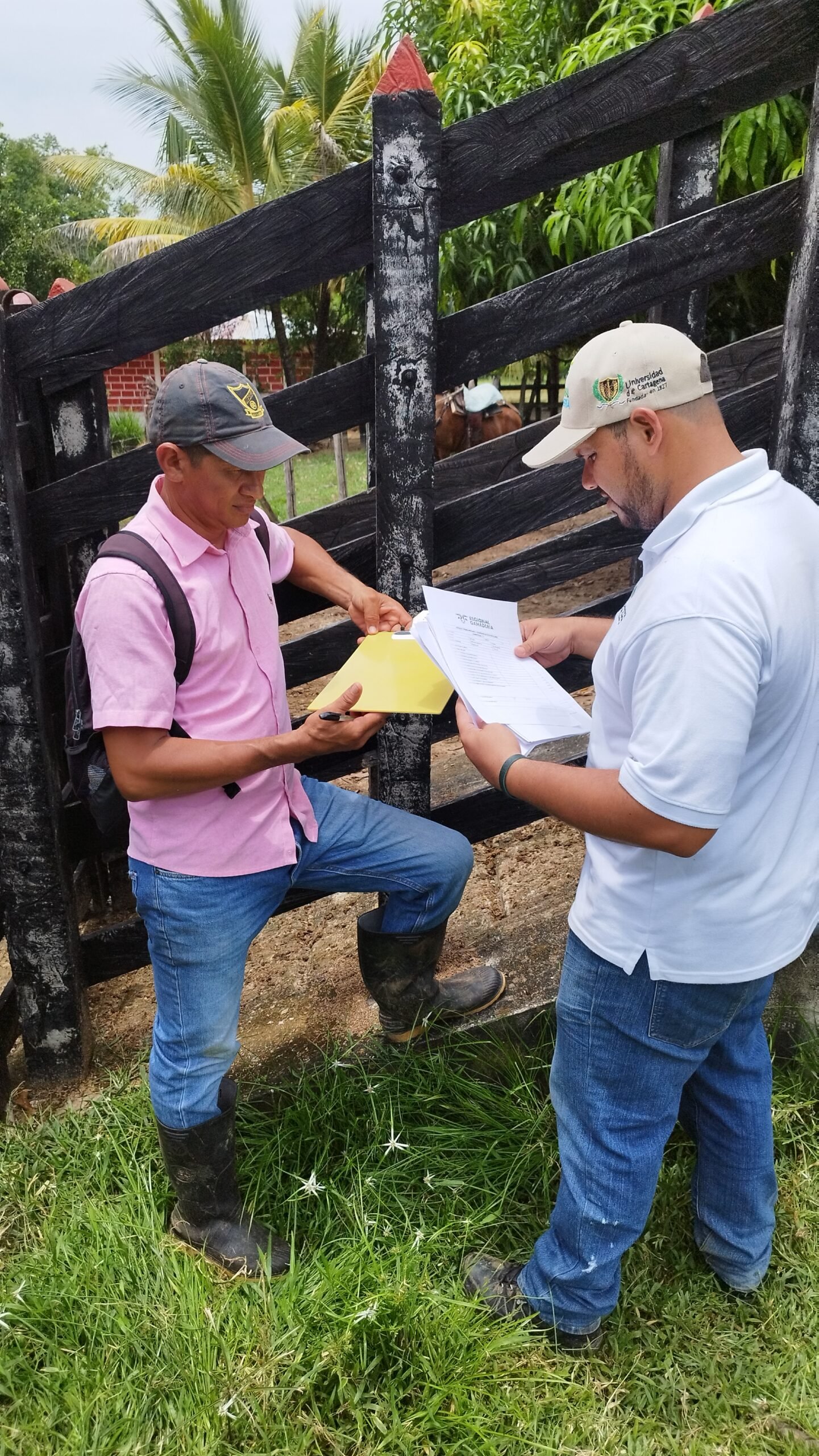 Entrega en Planeta Rica 16