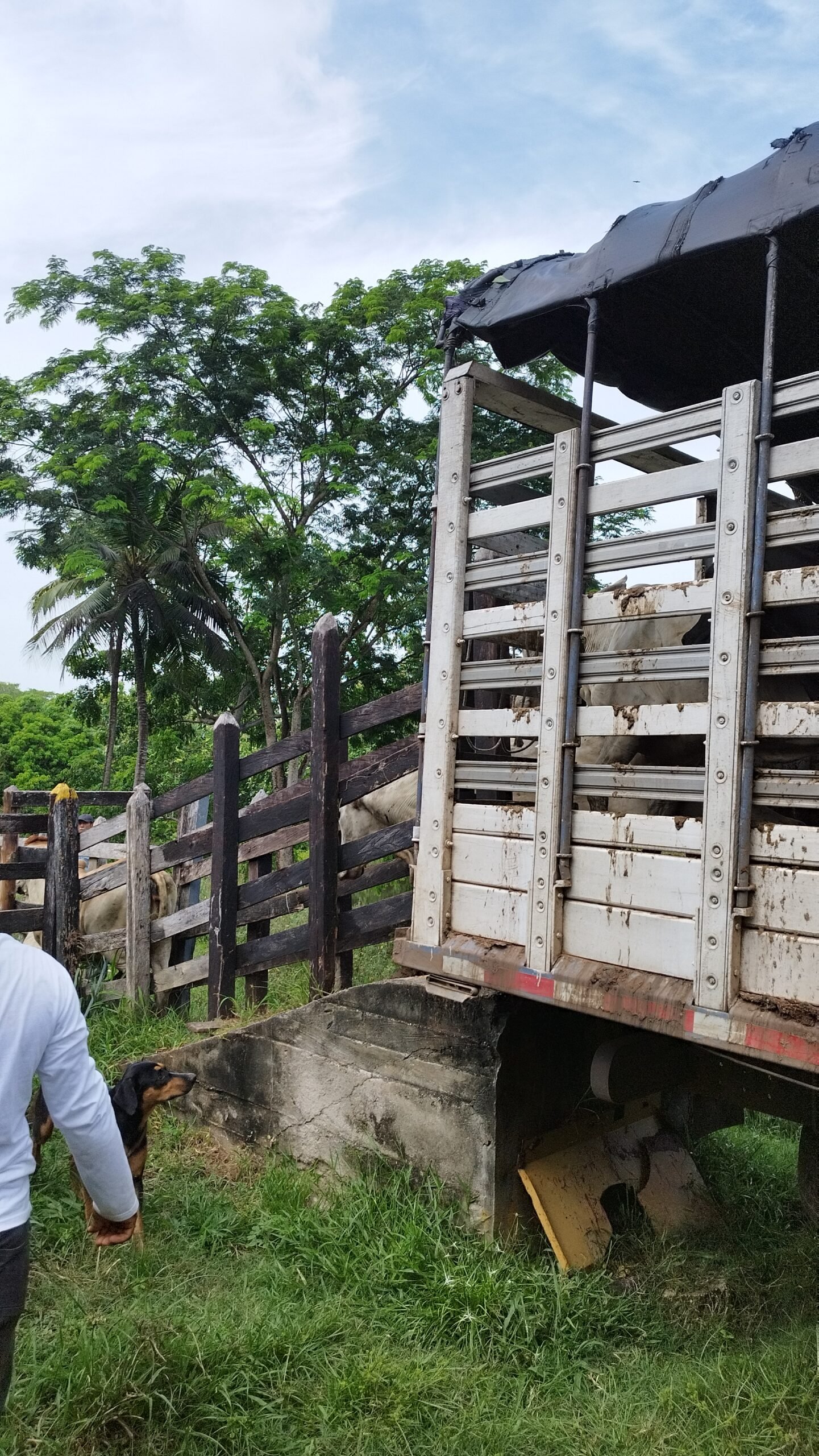 Entrega en Planeta Rica 11