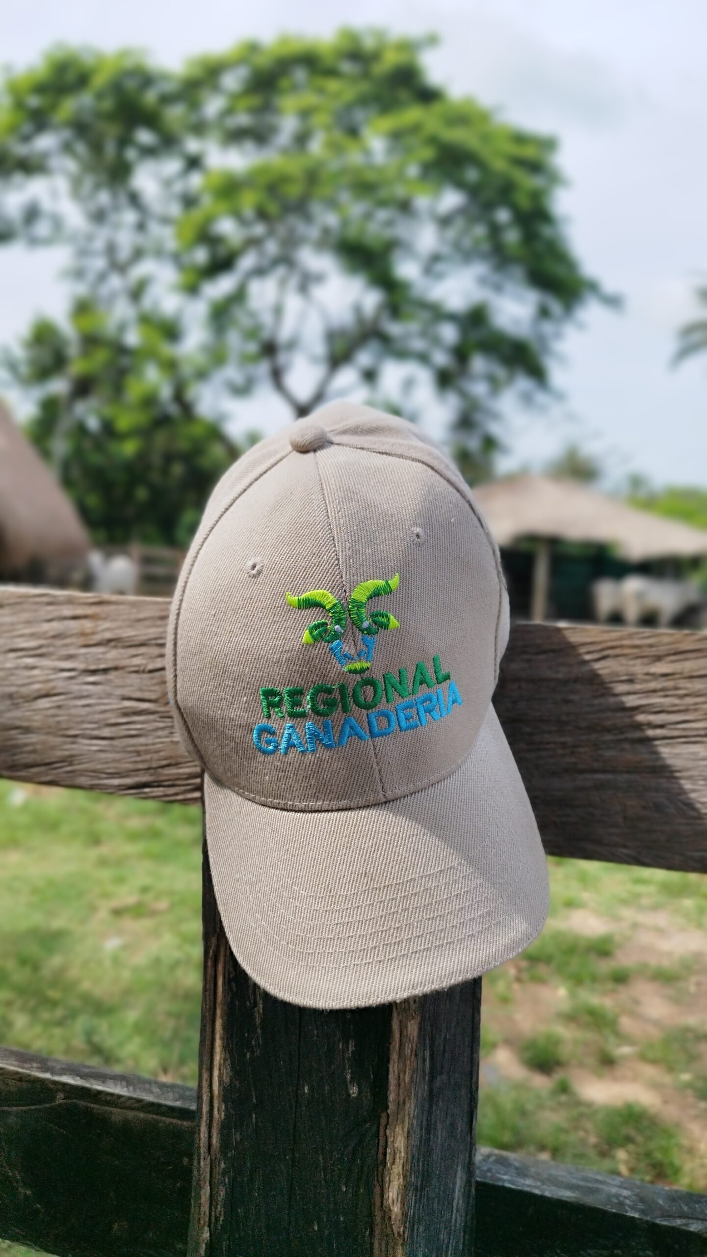 Entrega en Planeta Rica 7