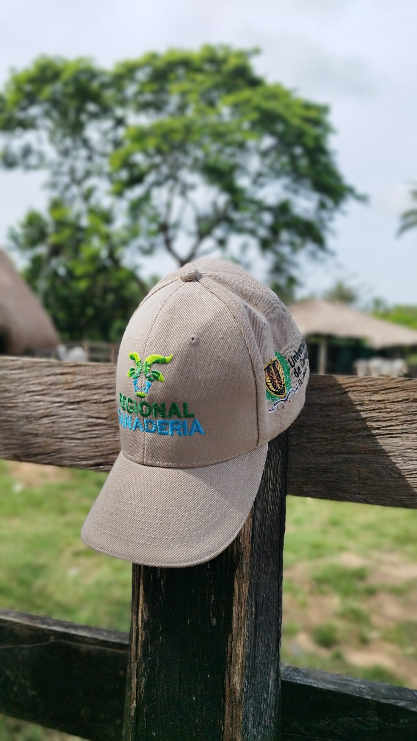 Entrega en Planeta Rica 6