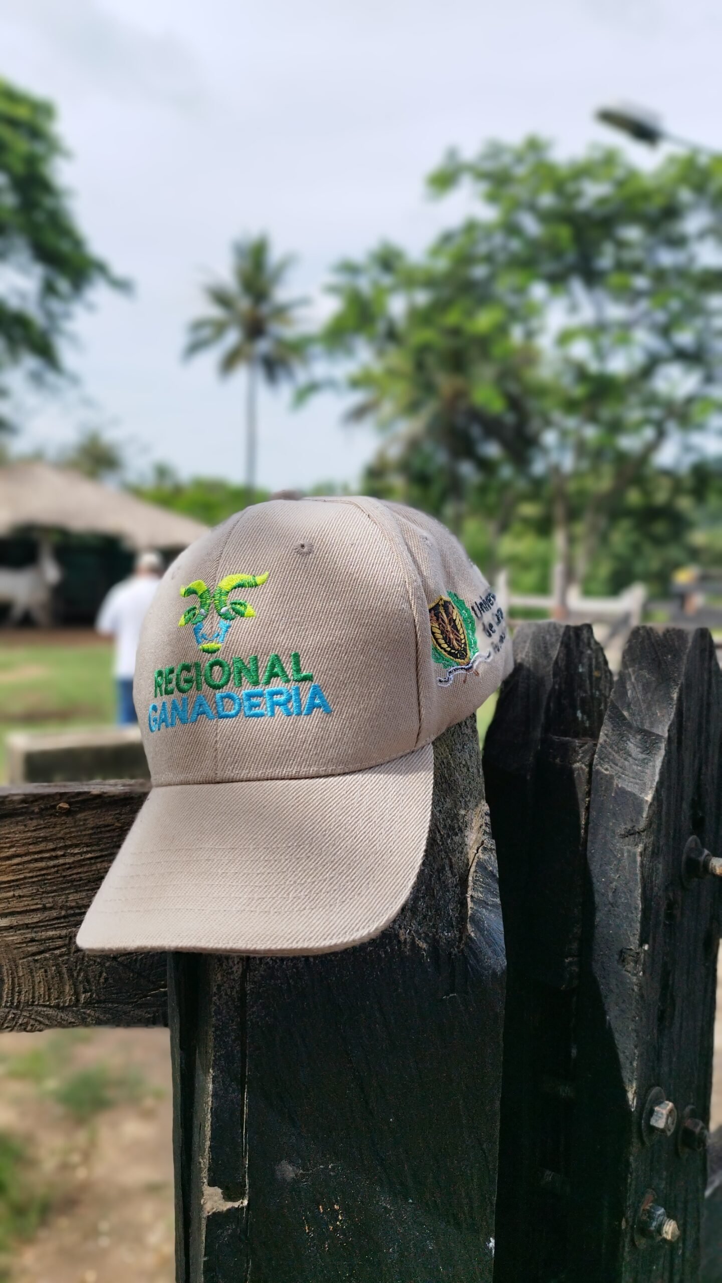 Entrega en Planeta Rica 5