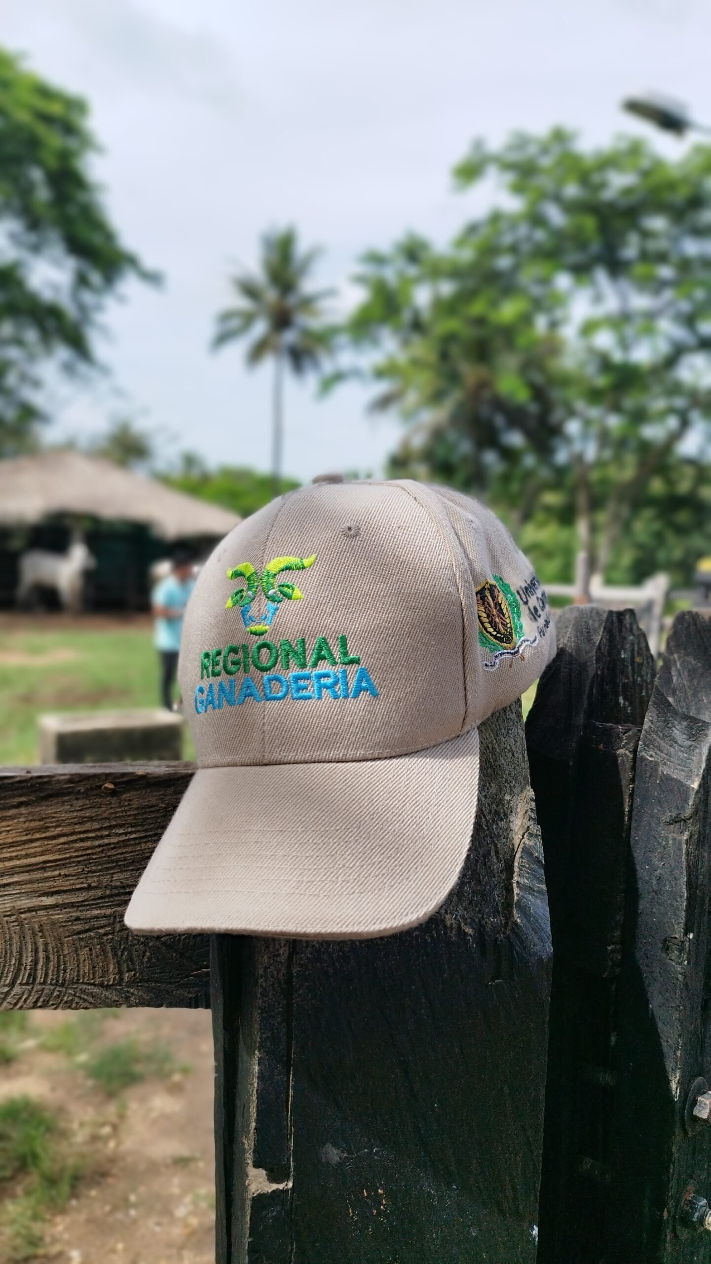 Entrega en Planeta Rica 4