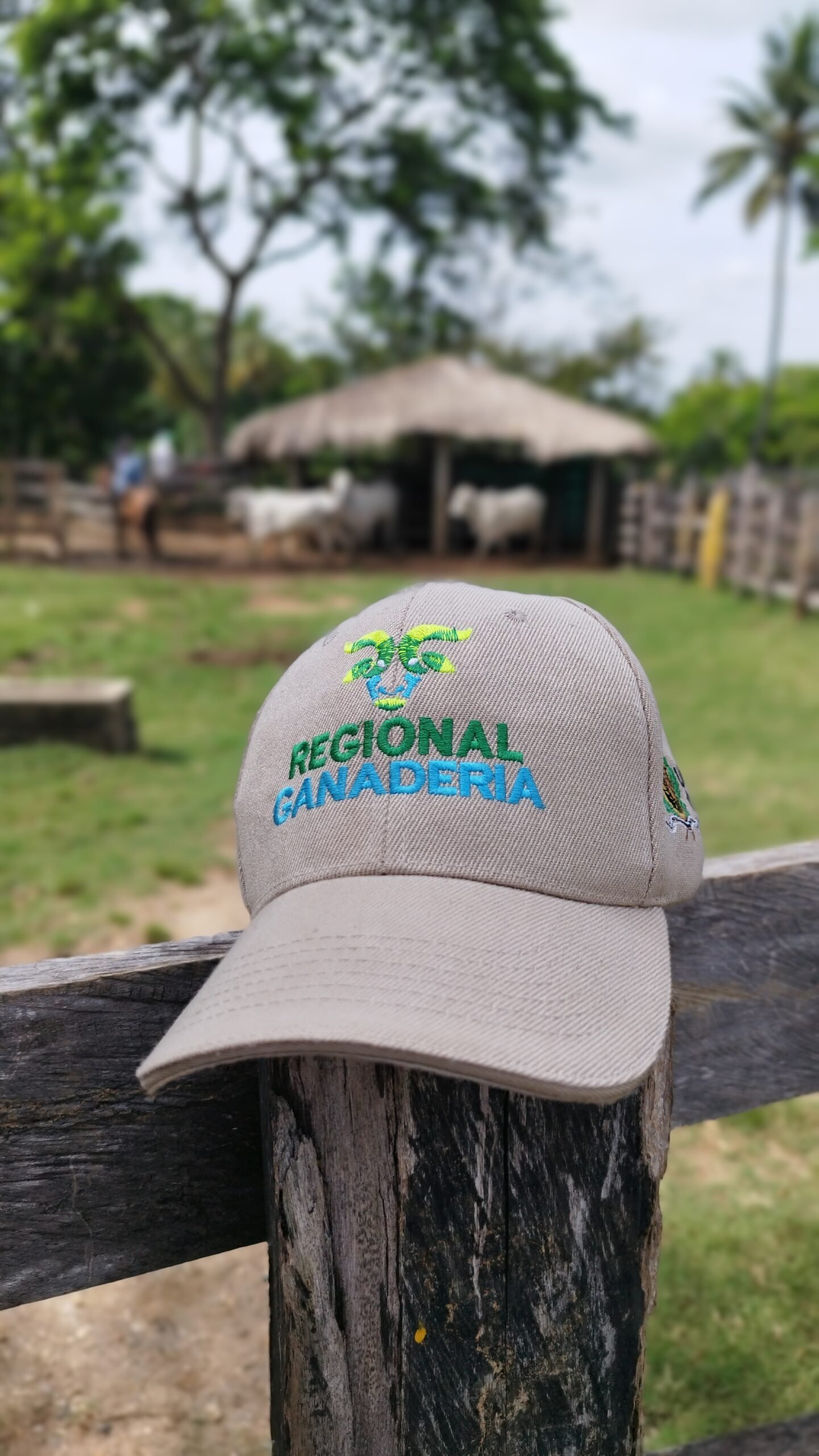 Entrega en Planeta Rica 3