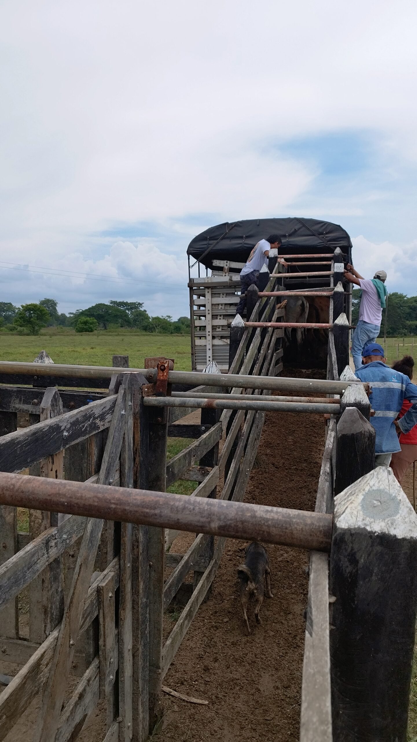 Entrega en Montería 3