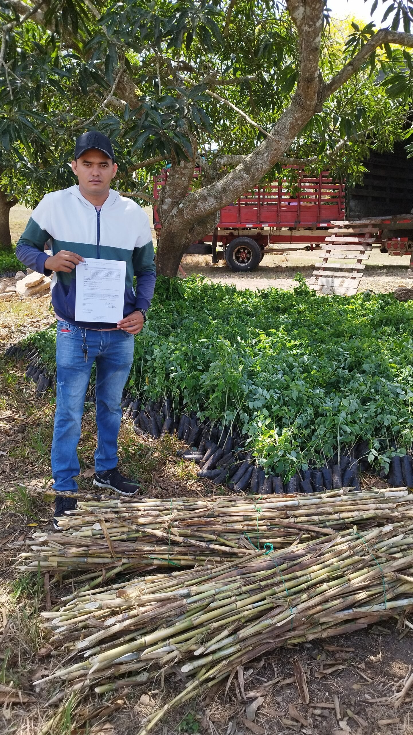 Entrega de Insumos 30