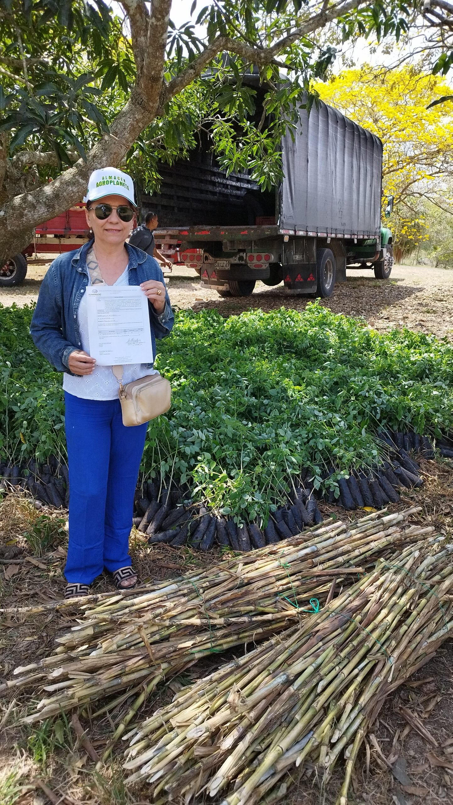 Entrega de Insumos 32