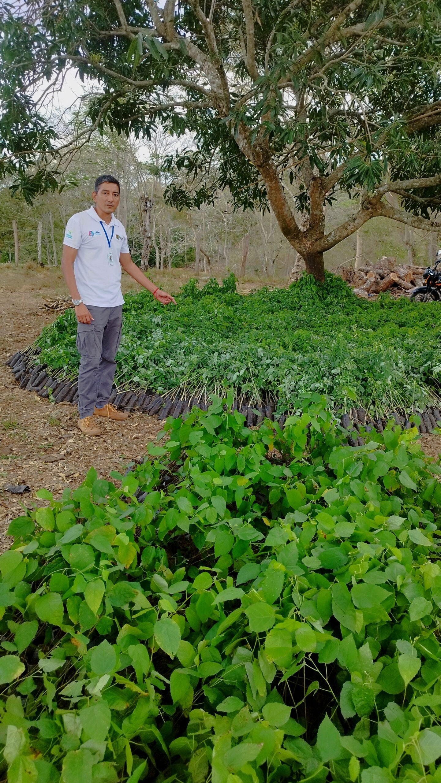 Entrega de Insumos 28