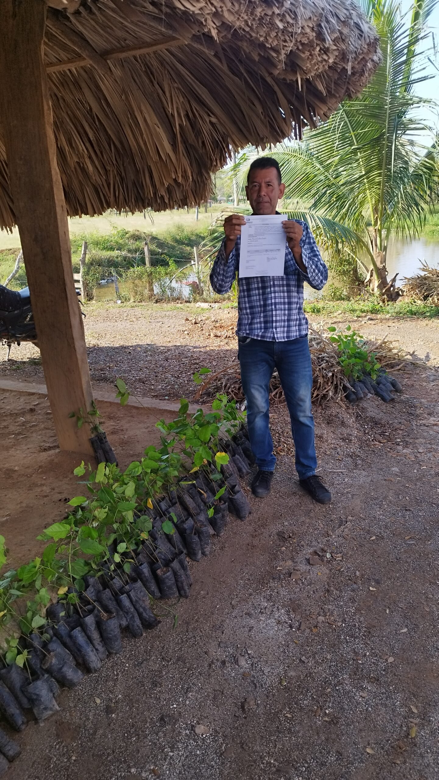 Entrega de Insumos 27