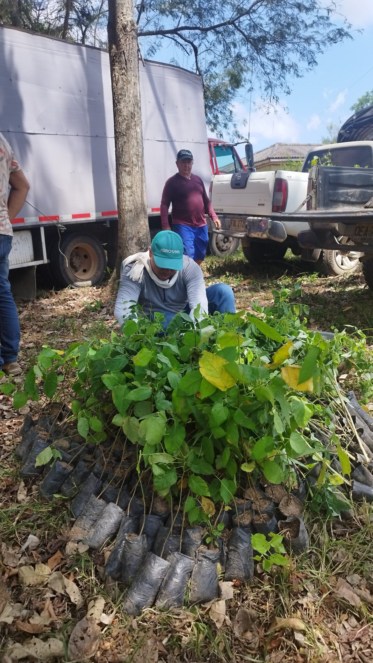 Entrega de Insumos 25