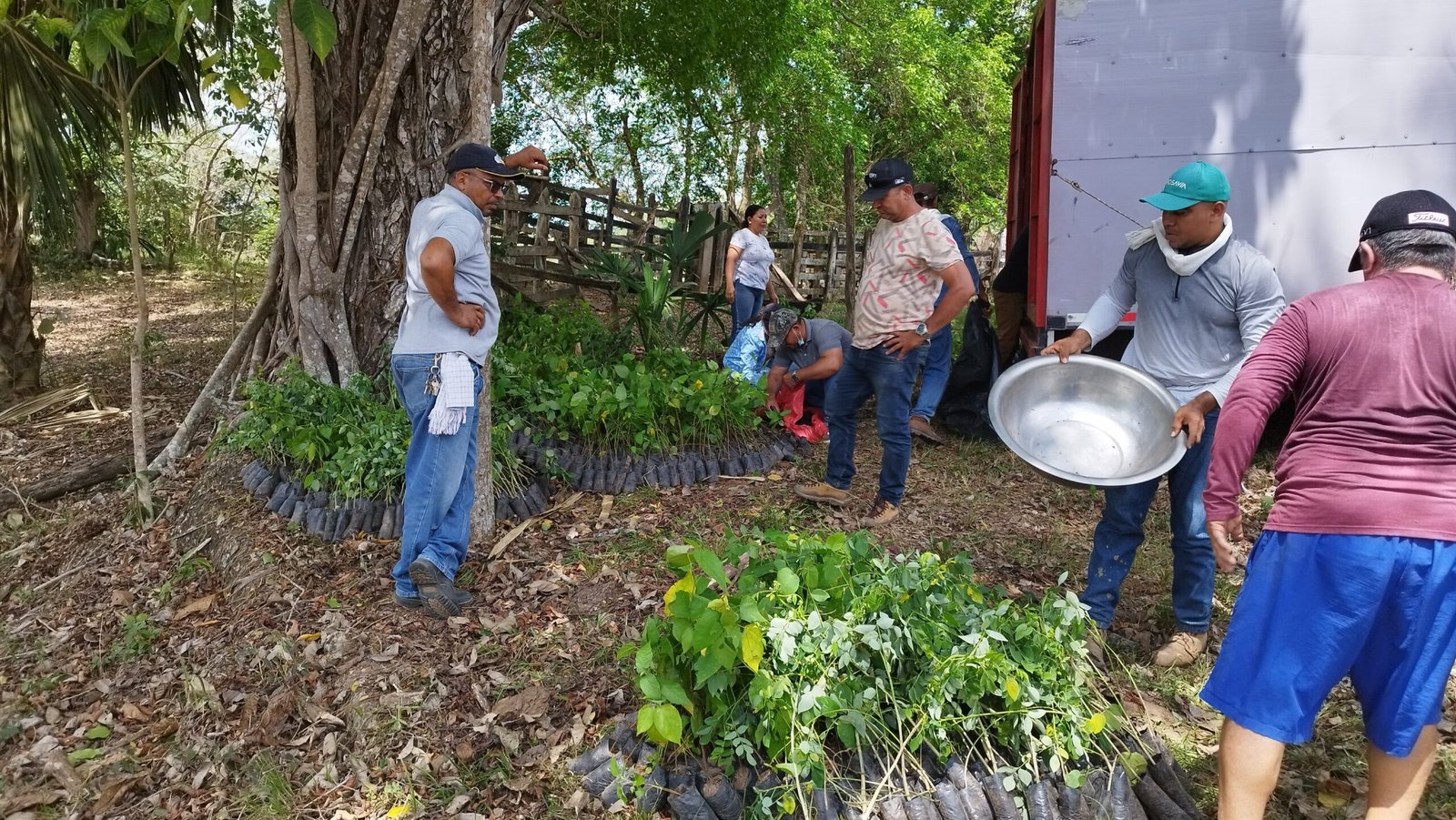 Entrega de Insumos 24