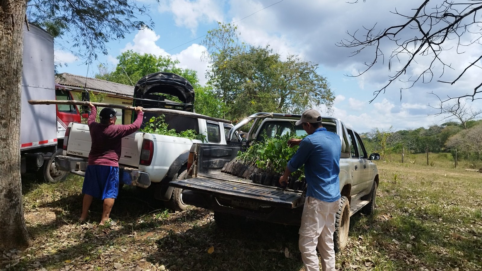 Entrega de Insumos 23