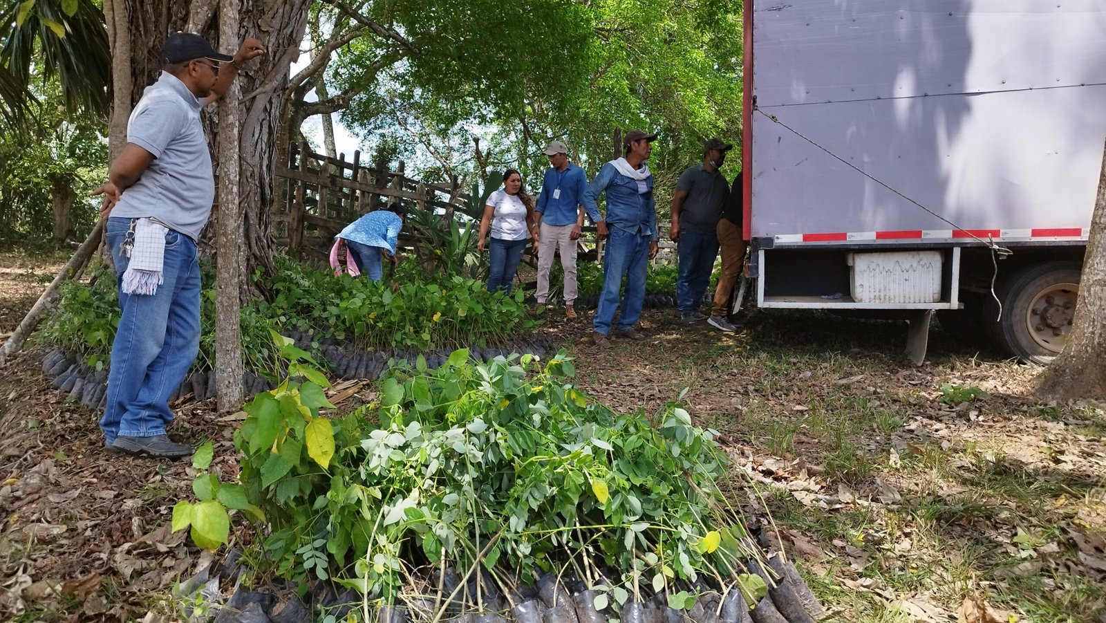 Entrega de Insumos 22