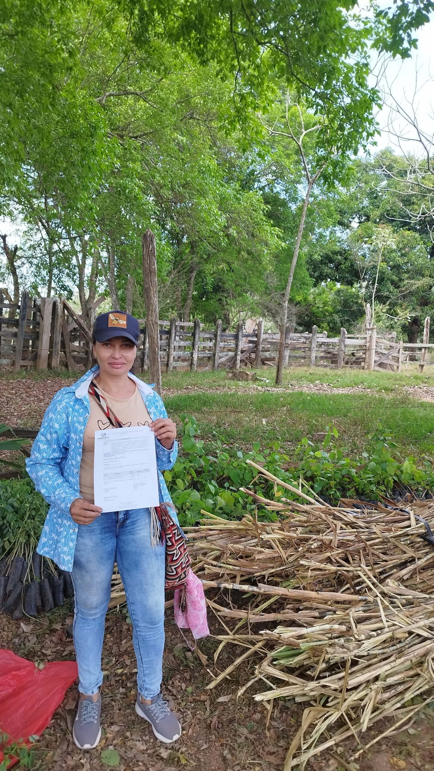 Entrega de Insumos 21