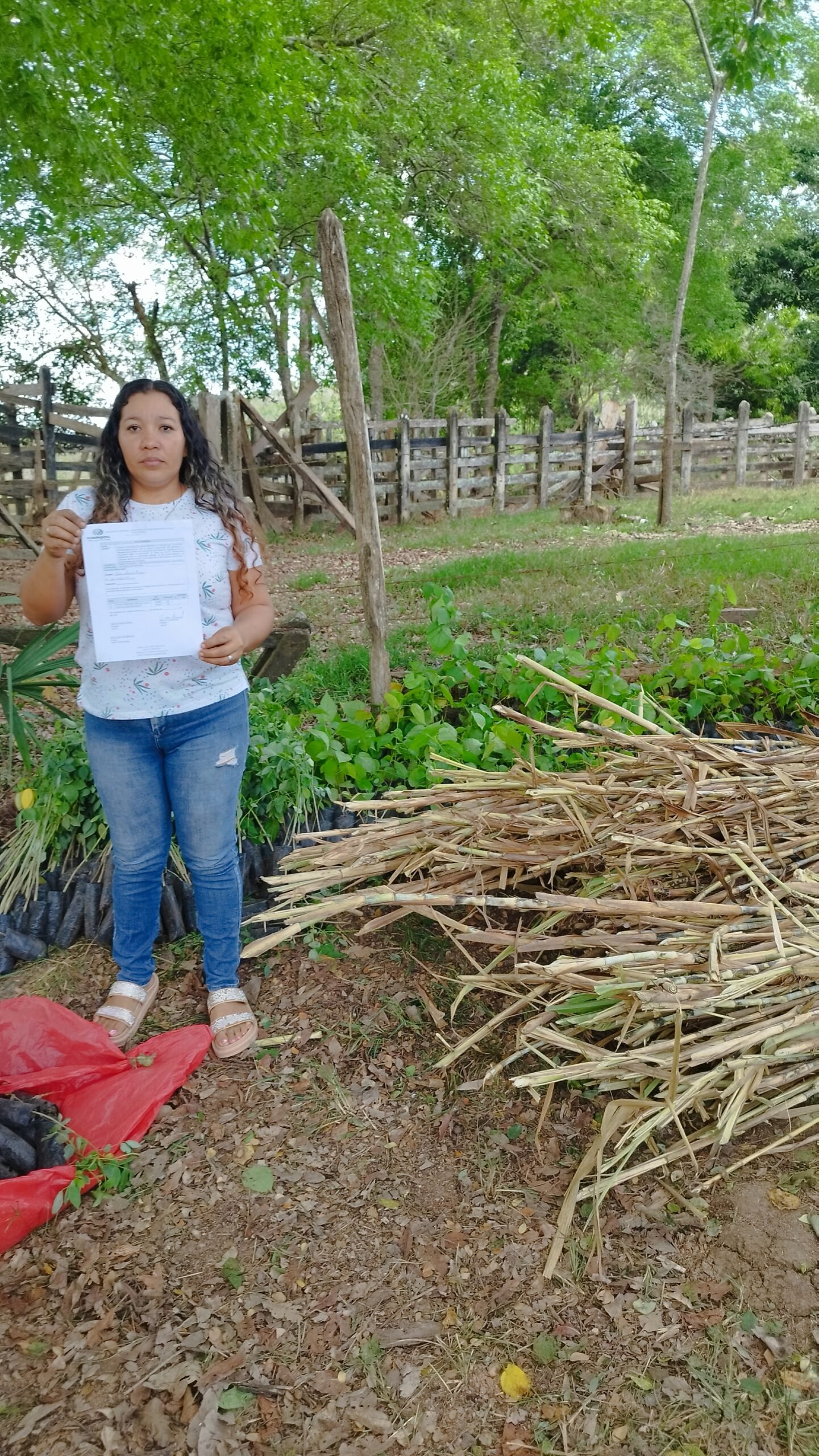 Entrega de Insumos 20