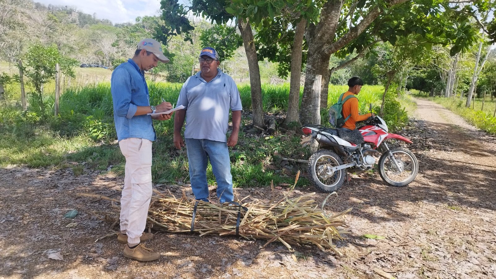 Entrega de Insumos 16