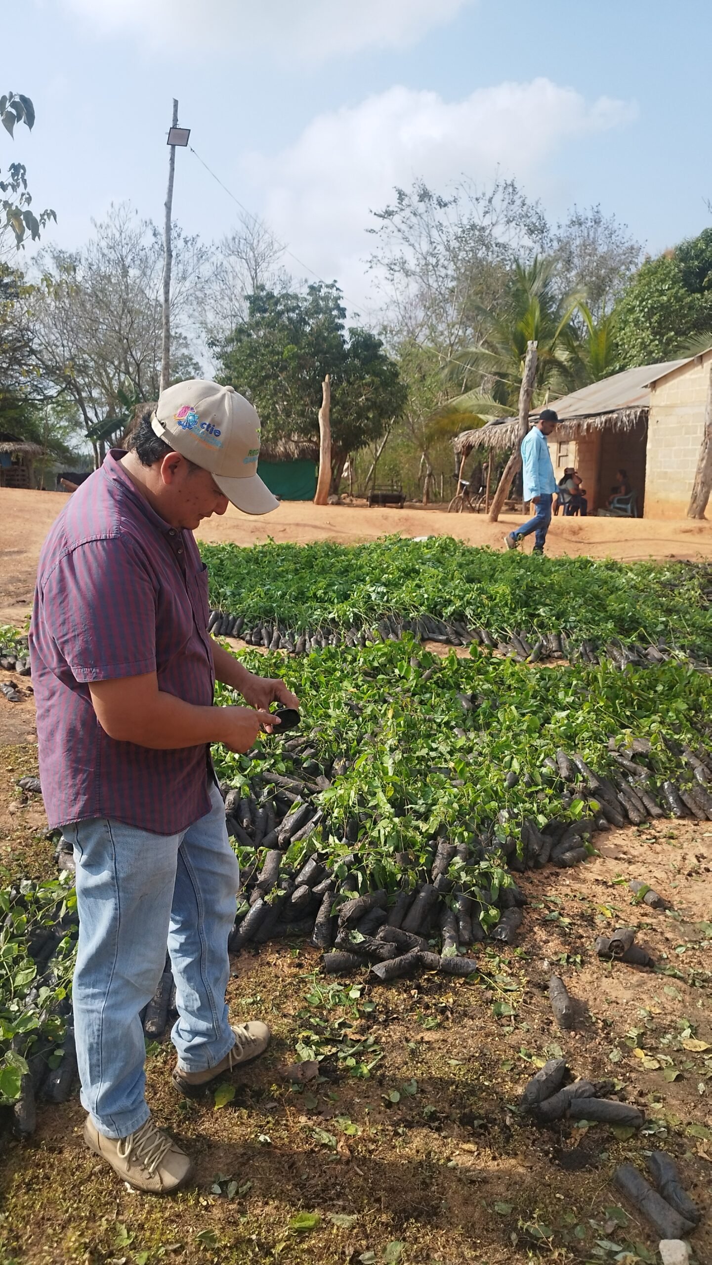 Entrega de Insumos 13