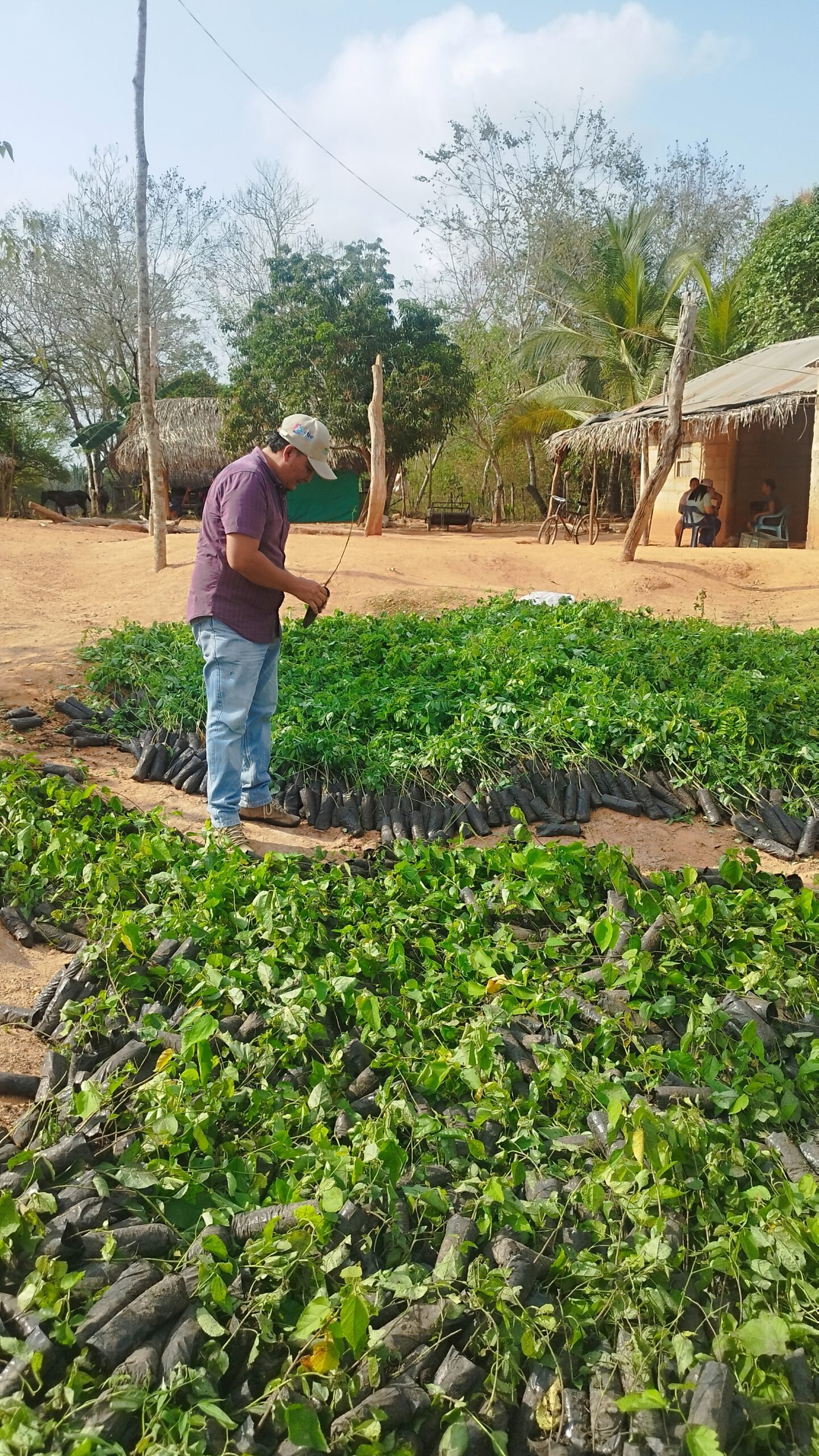 Entrega de Insumos 12