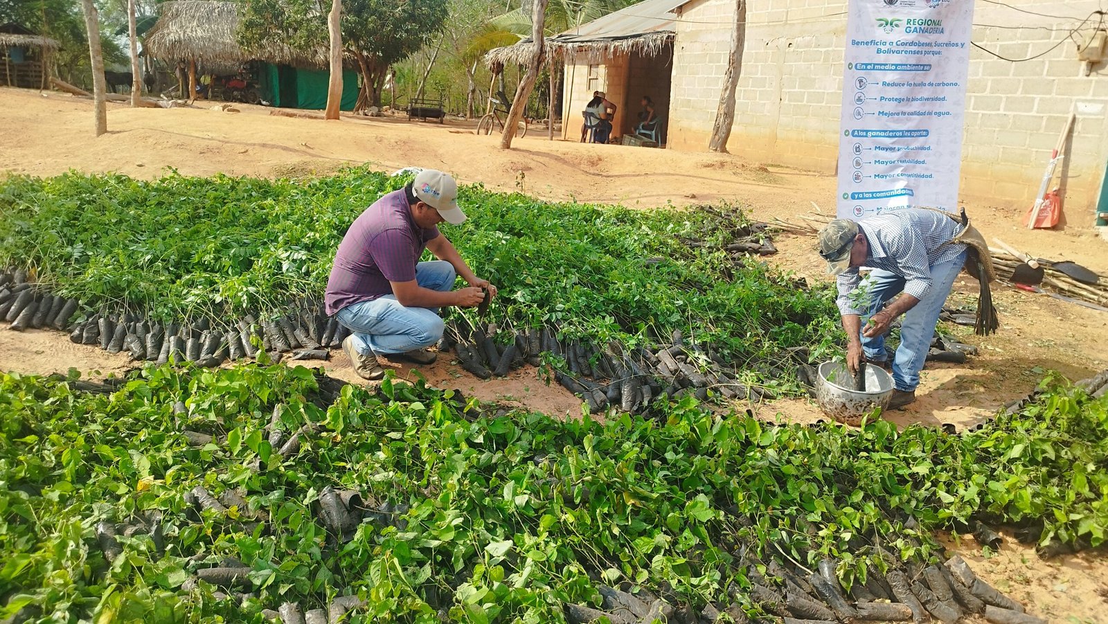 Entrega de Insumos 11