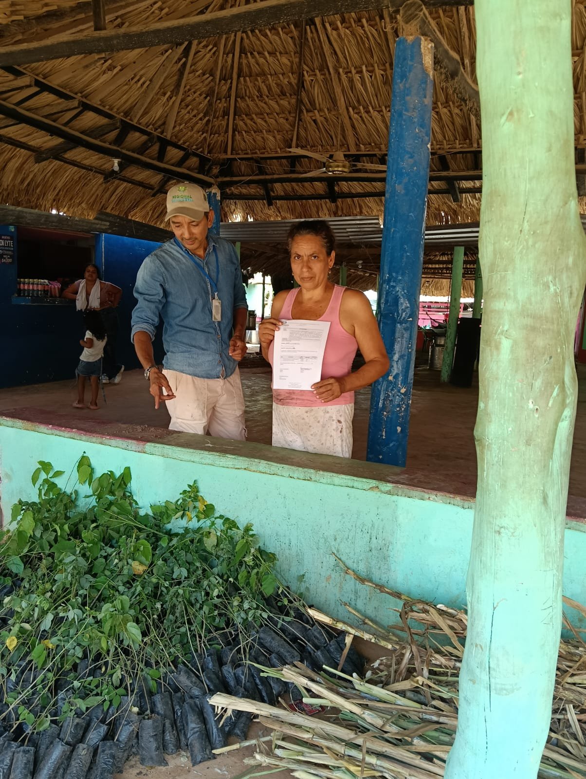 Entrega de Insumos 33