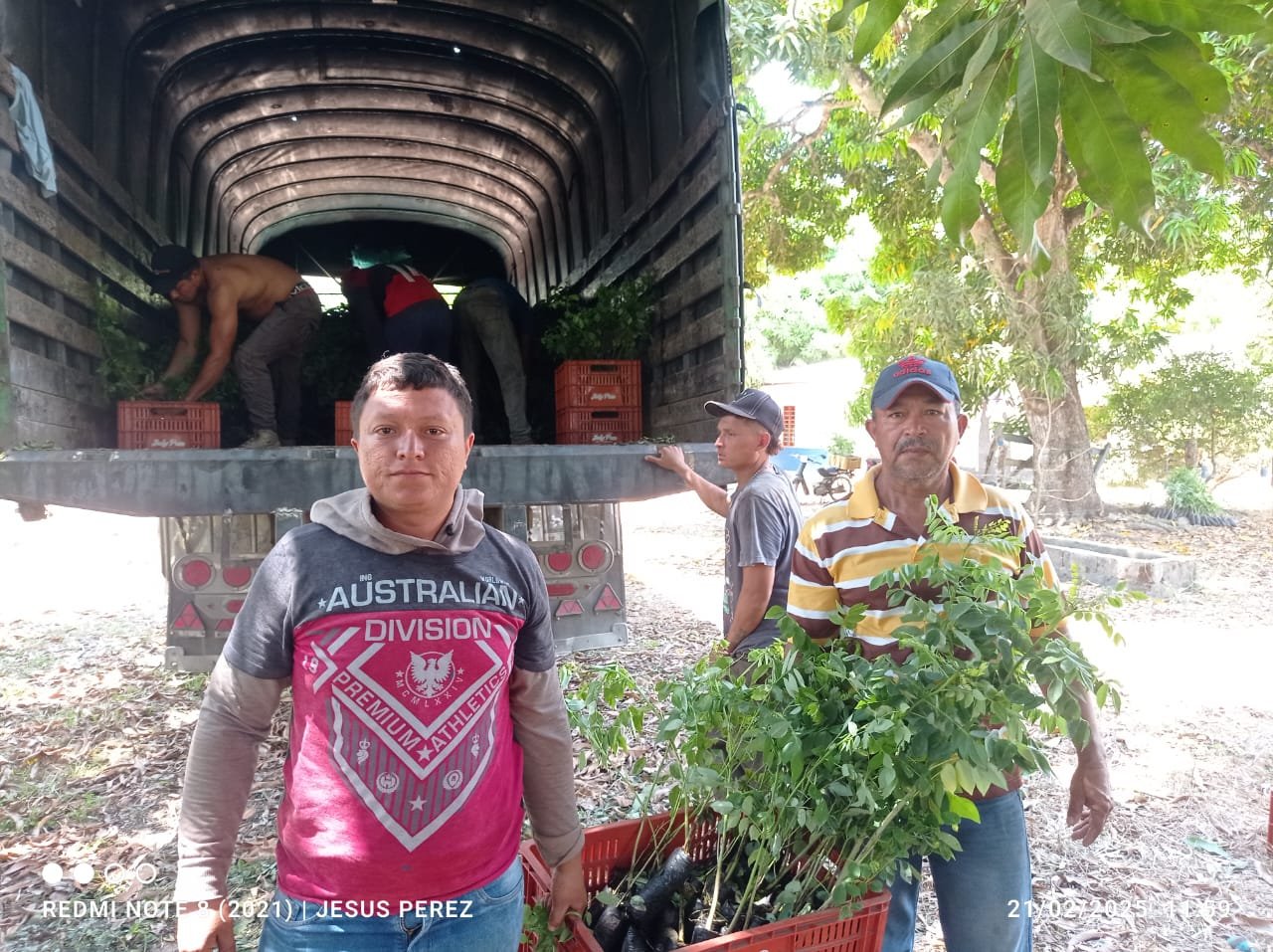 Entrega de Insumos 4