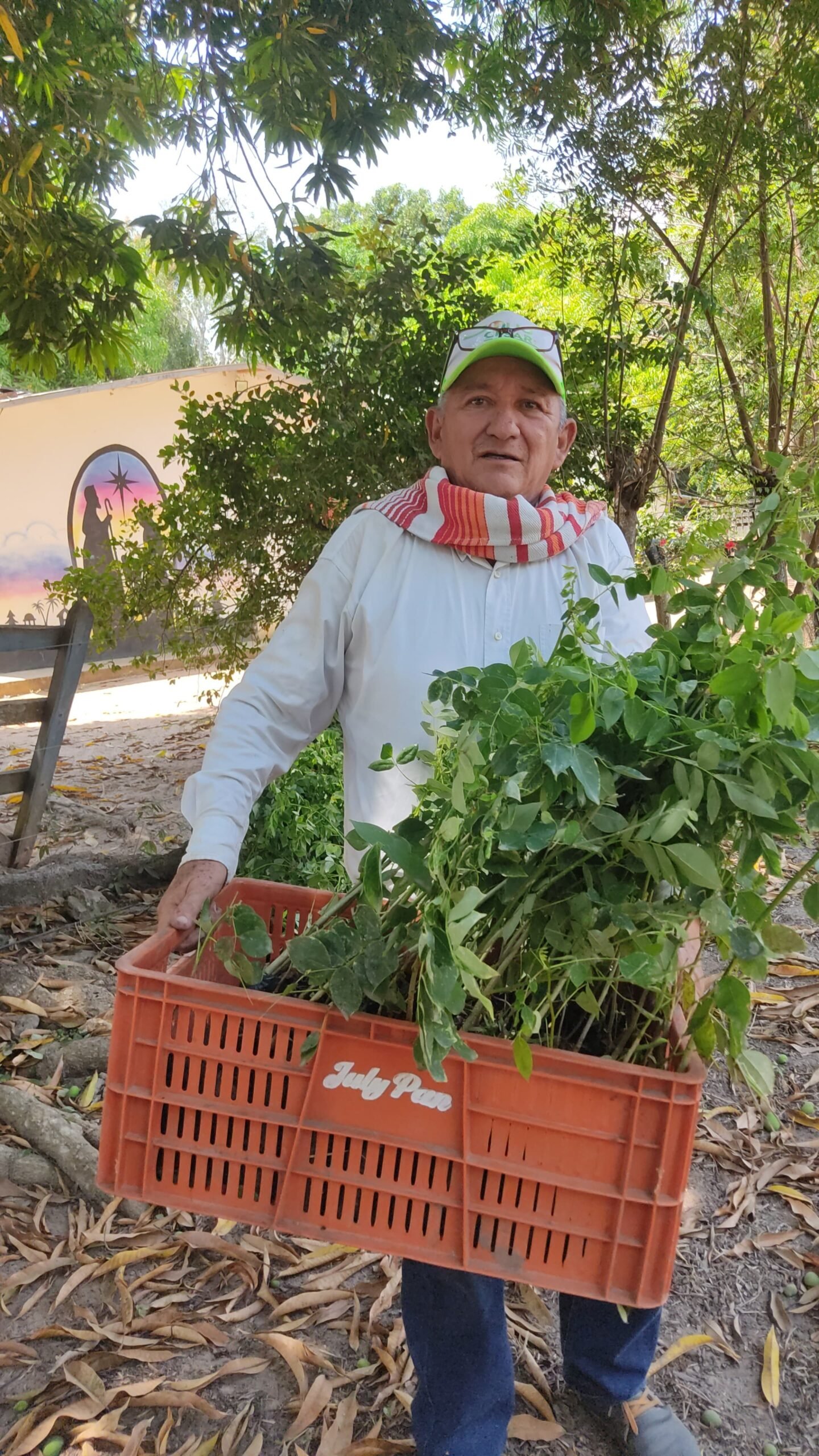 Entrega de Insumos 3