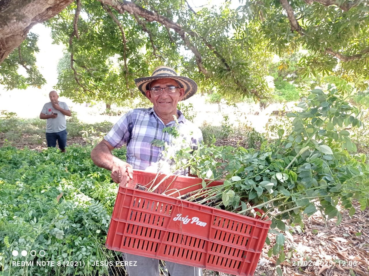 Entrega de Insumos 5