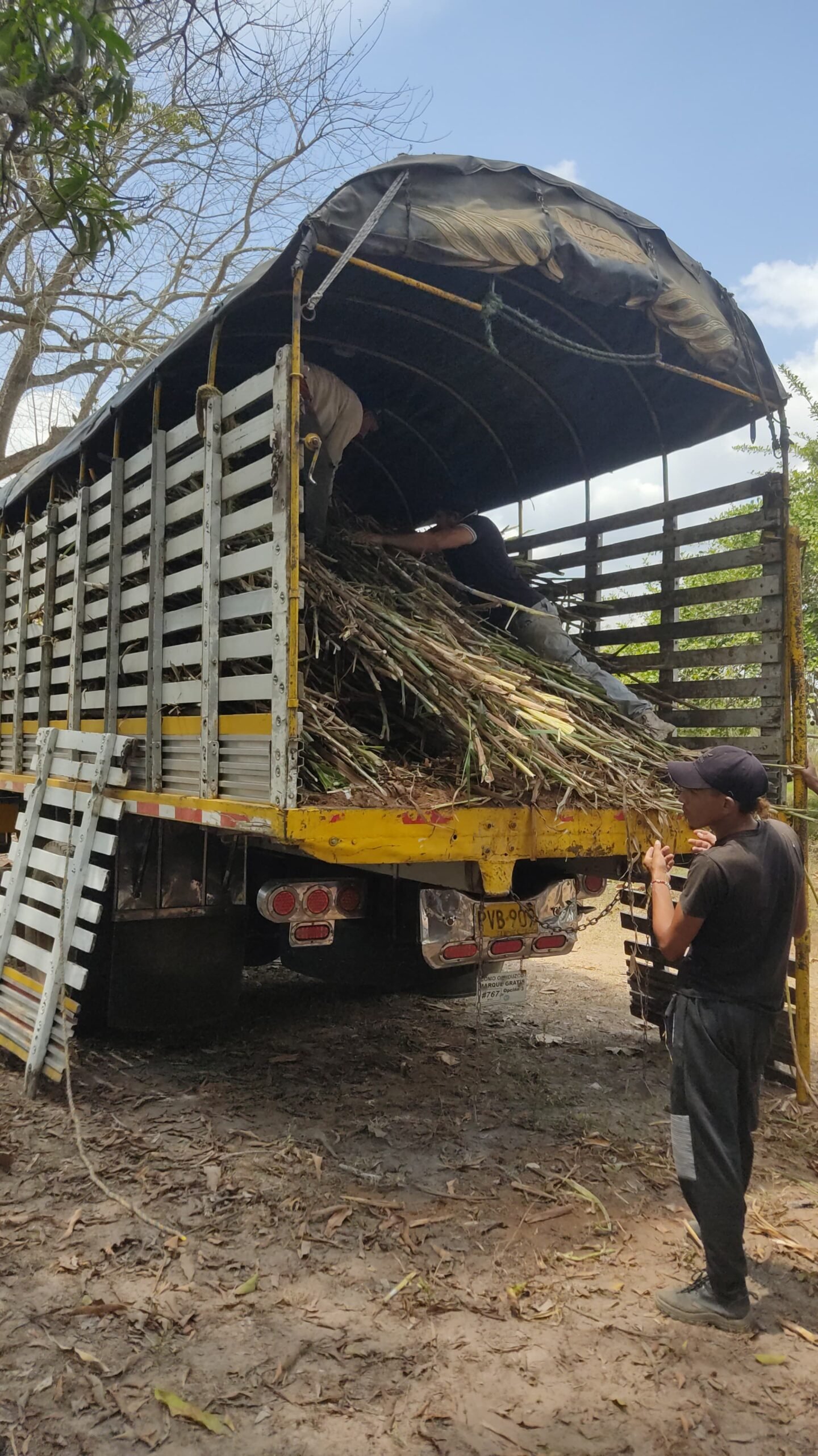 Entrega de Insumos 40