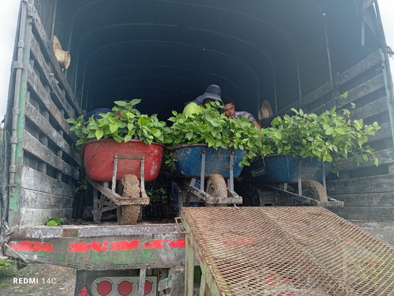 Entrega de Insumos 1